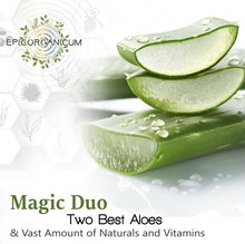 Load image into Gallery viewer, Aloe Vera Based Moisturizer Cream For Face and Body (4 oz) EpicOrganic

